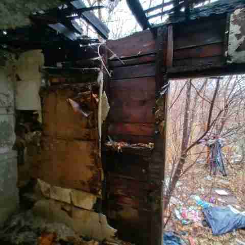 8031 conger (69).jpg